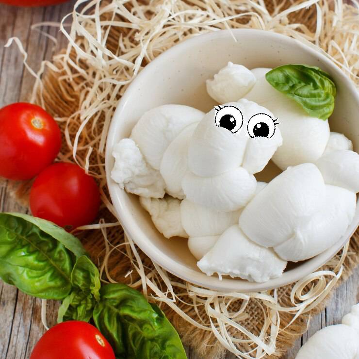mozzarella