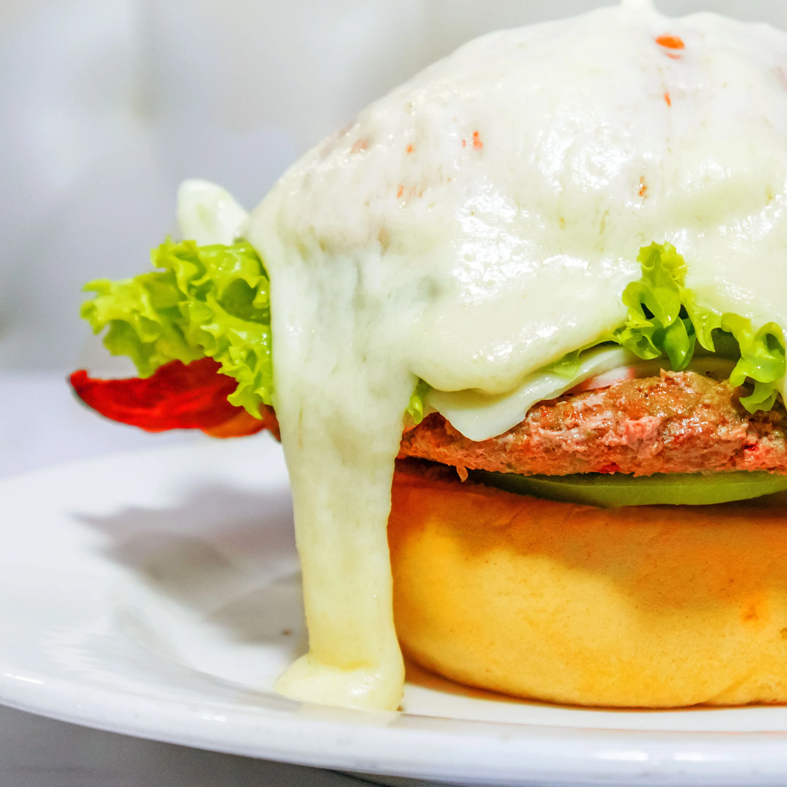Mozzarella LAND'OR